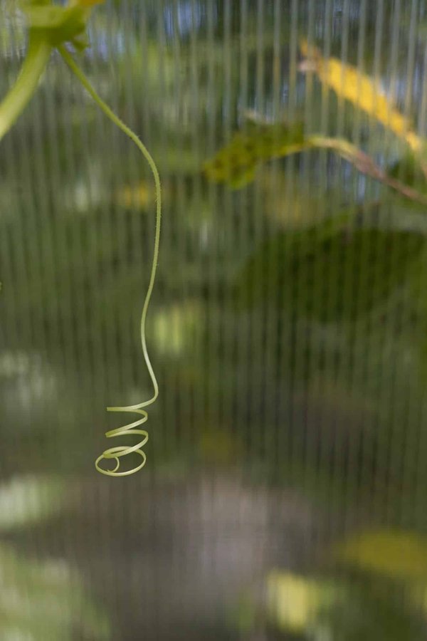 Comment préparer un déménagement pour une personne avec des besoins médicaux spécifiques ?